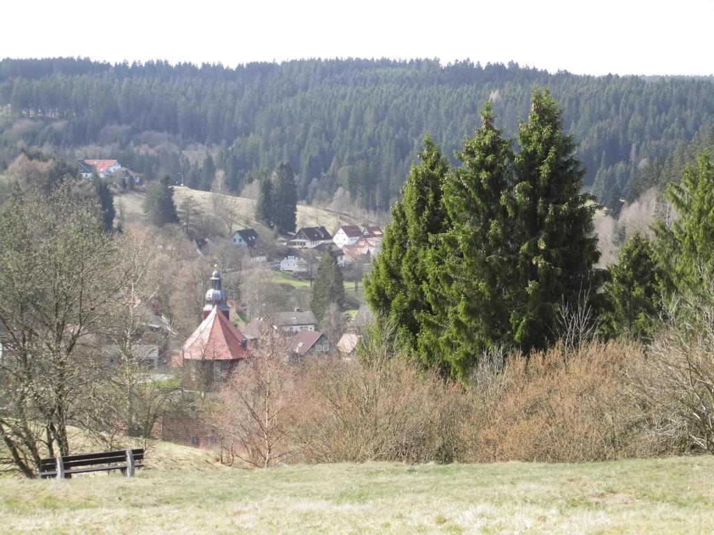 Ferienappartement Potthoff 1 Altenau  Bagian luar foto